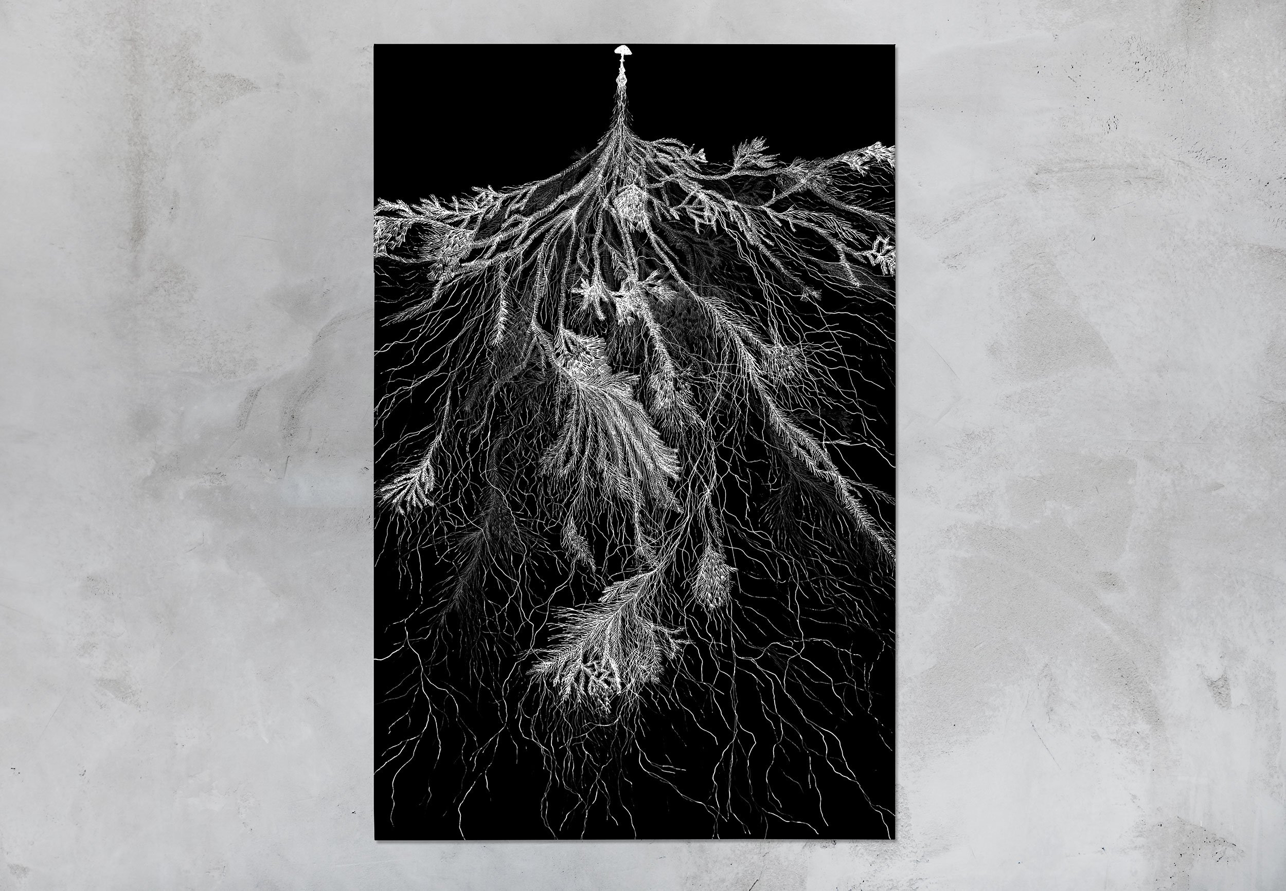 Graeme Walker - Mycelial Threads (Outside Gallery)