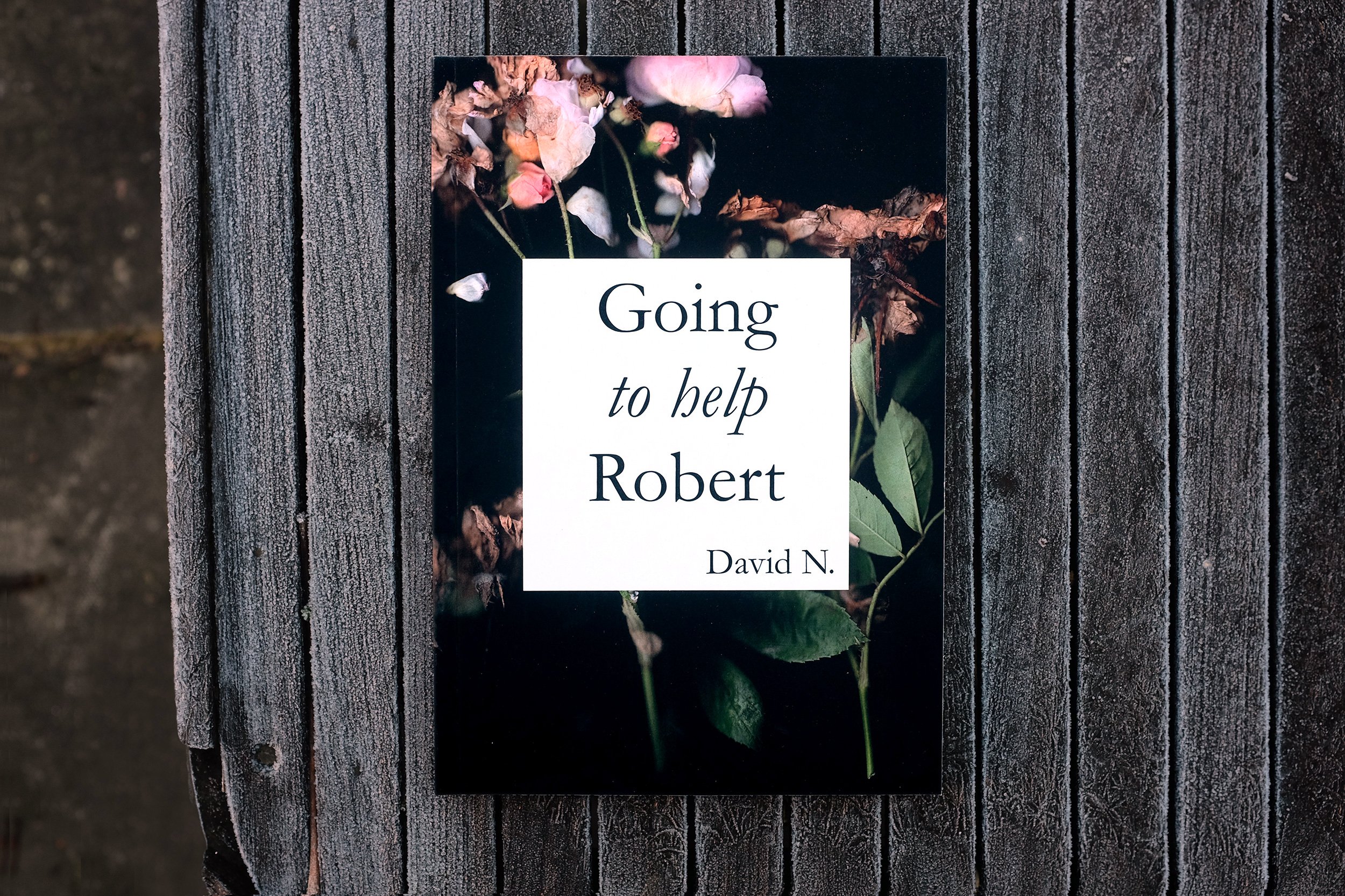 David N. and Graeme Walker - Going to Help Robert