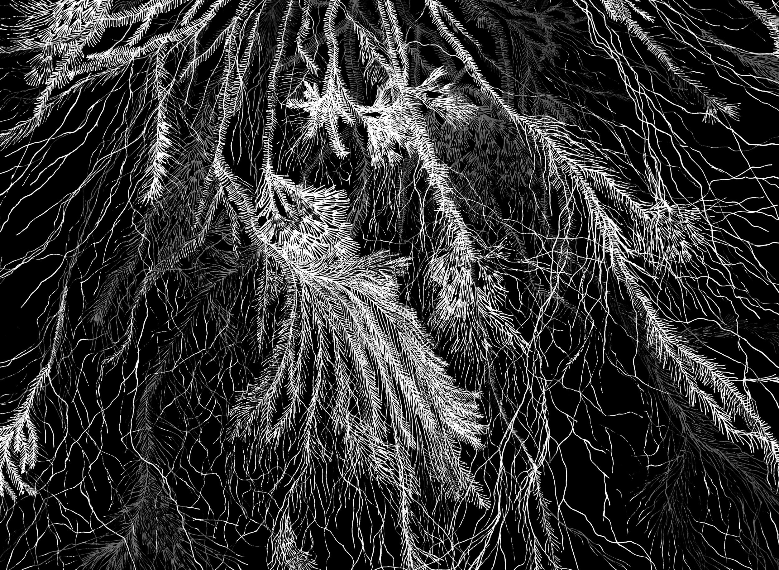 Graeme Walker - Mycelial Threads (detail)